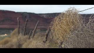 Roo Arcus - Tumbleweed (Official Video)
