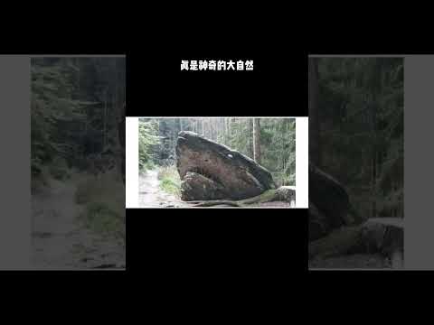 可能考验你大脑的图片 #视觉错觉 #眼力挑战 #奇趣