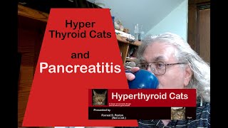 Pancreatitis and Hyperthyroid Cats