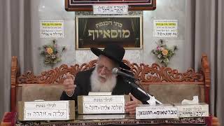 הרב יוסף חבה | הלכות בן איש חי | מוסאיוף (בית הכנסת מוסאיוף) - התמונה מוצגת ישירות מתוך אתר האינטרנט יוטיוב. זכויות היוצרים בתמונה שייכות ליוצרה. קישור קרדיט למקור התוכן נמצא בתוך דף הסרטון הרב יוסף חבה | הלכות בן איש חי | מוסאיוף (בית הכנסת מוסאיוף) - התמונה מוצגת ישירות מתוך אתר האינטרנט יוטיוב. זכויות היוצרים בתמונה שייכות ליוצרה. קישור קרדיט למקור התוכן נמצא בתוך דף הסרטון