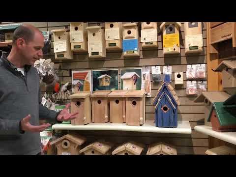image-Can you make money selling birdhouses?