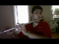 Beethoven Virus Played By Diana Boncheva On Flute And Recorder