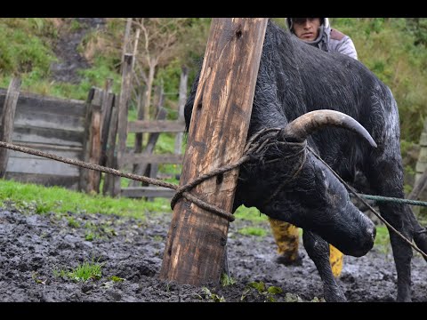 EL PANTEONERO | DÚO HERMANOS CANDO