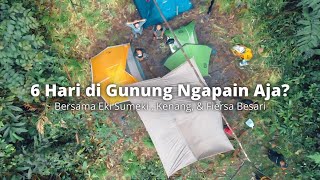 Download lagu 6 Hari di Hutan Ngapain Aja? mp3