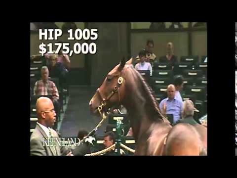 Hip 1005 - Keeneland September Yearling Sale 2006 (Smirk)
