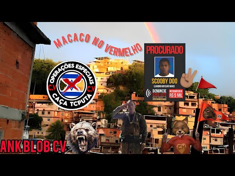 MC FHAEL - AO VIVO NO MORRO DOS MACACOS 2k25 | PROIBIDÃO | VILA ISABEL | TITAURO TREM🦍🚩