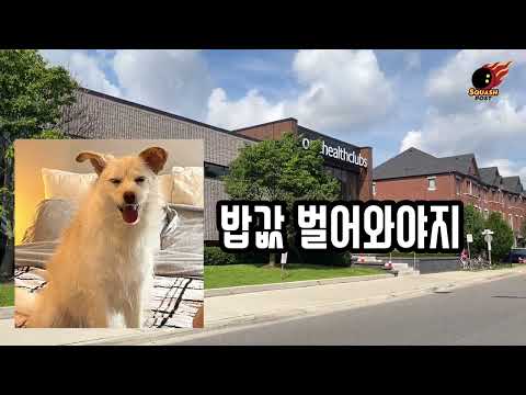 스쿼시 브이로그 | 주말에도 출근하는 스쿼시 코치의 홈클럽 구경하기