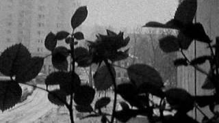 Sorry (Poei Poei) - Dave Williams