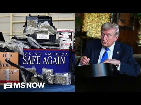 Four killed in two months: How ‘Safe’ is Trump’s Memphis Task Force?