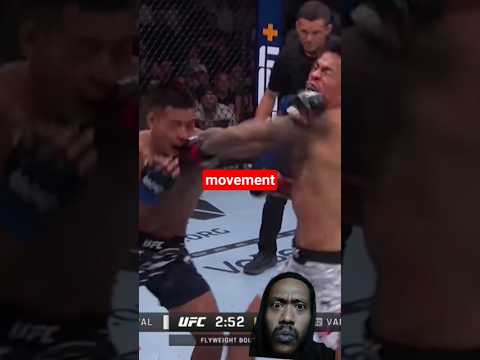 Все чемпионы UFC в 2026 году 👊 #шорты #ufc #чемпионы #mma #боецmma #нокаут