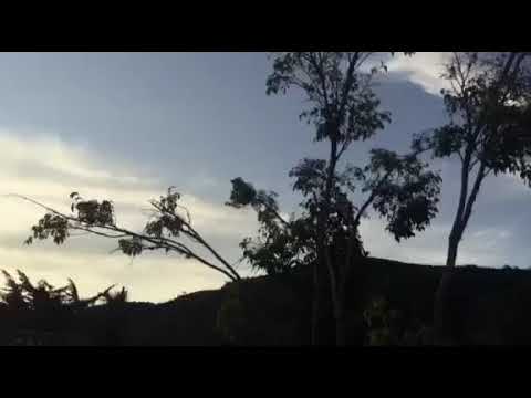 Morada Da Jiboia - Maria Rita Castro