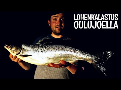 KALASTUS OULUJOELLA MERIKOSKELLA - SELKEYTTÄ SÄÄNTÖVIIDAKKOON KIITOS!