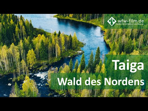 Taiga – Wald des Nordens