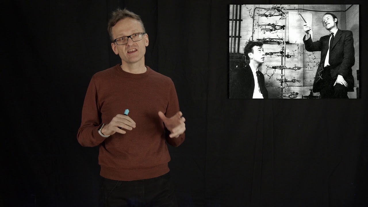 Lecture 01, concept 04: Chargaff's ratio - Watson & Crick's key to DNA structure