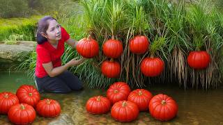 Download lagu Harvesting 1000  Kg Red Pumpkin & Giant Watermelon Goes To Market Sell, Sell Coconut | Ella New Life mp3 Download lagu Harvesting 1000  Kg Red Pumpkin & Giant Watermelon Goes To Market Sell, Sell Coconut | Ella New Life mp3