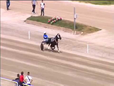 Trotto 01/05/2018 - 1ª corsa pony