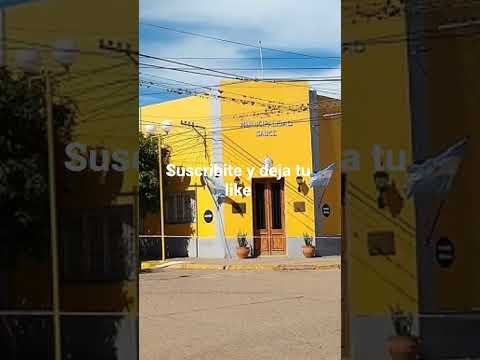 Sauce Corrientes
