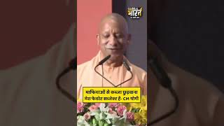 CM योगी के सामने जब डीजीपी लेकर पहुंचे एक माफिया की फाइल, फिर योगी ने जो किया...