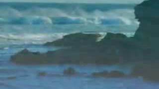 Renaissance--Sounds of the Sea