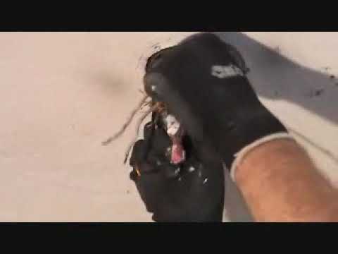 A light fixture wiring dilemma