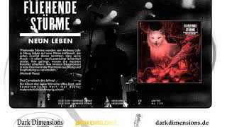 Music video thumbnail preview for FLIEHENDE STÜRME - Industrie (Official One Image Video) by Fliehende Stürme