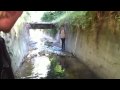 Shitzo Music Video