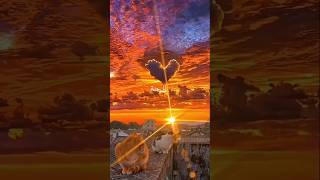 Download lagu The beauty of Existence❤️‍🩹🕊️#islamicstatus#quran#viralshort #@mahmodhussain01#trendingshorts#viral mp3