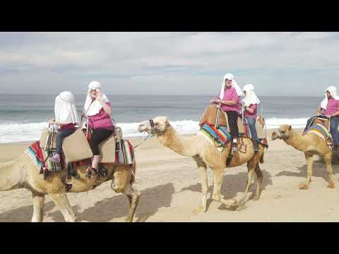 Camel ride excursion in Cabo.