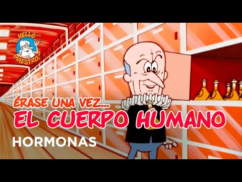 Once Upon a Time... The Human Body - Hormones - Hello Maestro
