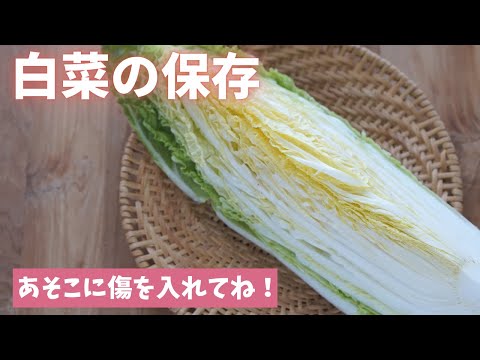 白菜の冷凍:可能ですか?可能ならどのようにすればよいですか? 植物