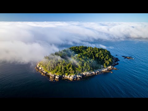 Das Rätsel um Oak Island wurde gelöst… und es ist nicht das, was wir erwartet hatten!