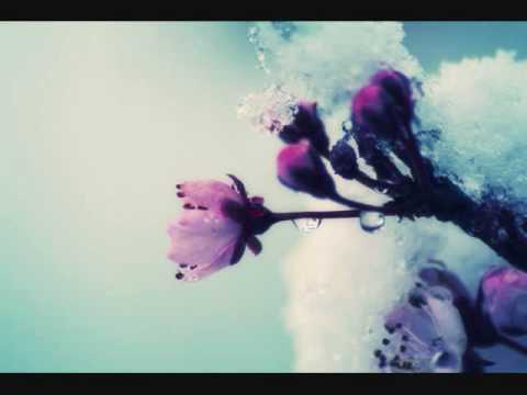 Dj Tapolsky & Redco feat. Alexa - Ранком