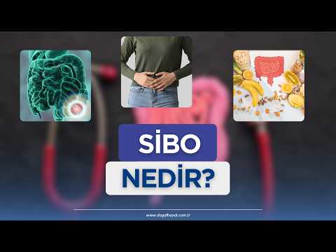 SİBO NEDİR?