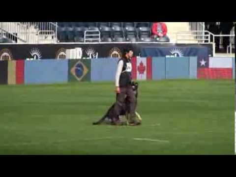 2013 WUSV WM Theo von Kyoto Masuda B88