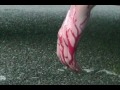 Dear Mom and Dad -- Distracted Driving Video ...