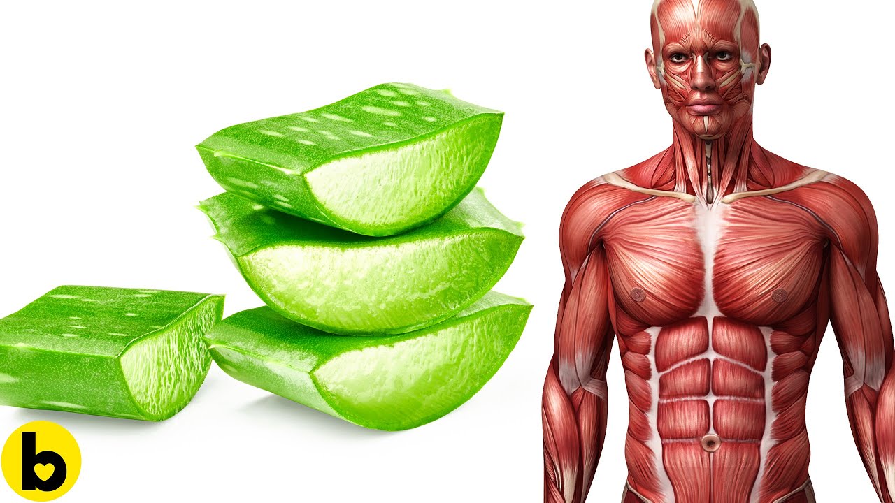 Drinking Raw Aloe Vera Juice Once A Week Will Do This To Your Body