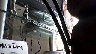 Gwen McCrae Damn Right Its Good