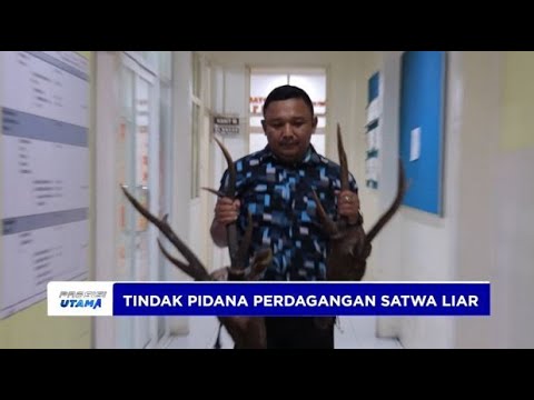 PENGUNGKAPAN PERDAGANGAN SATWA LIAR DILINDUNG