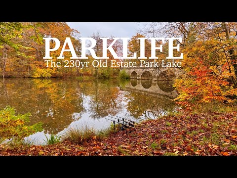The Other Side 🍂😍🍂 | Carp Fishing The 230yr Old Estate Lake 