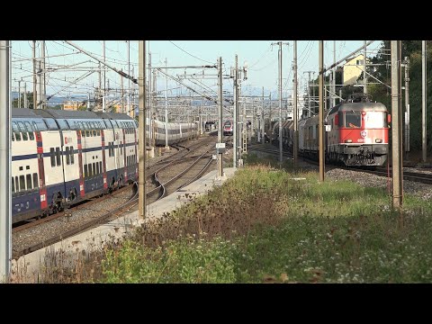 S11 nach Aarau - S12 nach Zürich - SBB Cargo Re 620 mit Güterzug