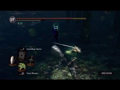 Dark souls laggy invaders,,,