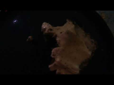 MongoTV_5645 - Min Natmad - Rugbrød Med OST