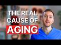 Why Some People Age 3x Faster And How To Stop It For 0