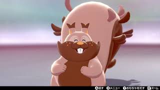 ヨクバリス ポケットモンスター メルタン ズガドーン ドクロッグ ヨクバリス ポケットモンスター メルタン ズガドーン ドクロッグ