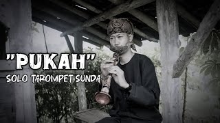 Download lagu MATAK WAAS LUR!!! NIUP TAROMPET SUNDA LAGU 'PUKAH' DI SAWAH mp3 Download lagu MATAK WAAS LUR!!! NIUP TAROMPET SUNDA LAGU 'PUKAH' DI SAWAH mp3