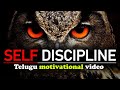 SELF DISCIPLINE How To Be Self Disciplined In Life Telugu Motivational Video Achieve Goals