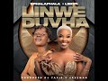 SPHALAPHALA LIBOPI Linwe Duvha Official Audio