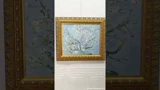 Branches with Almond Blossom | Vincent van Gogh Reproduction | Replica Painting