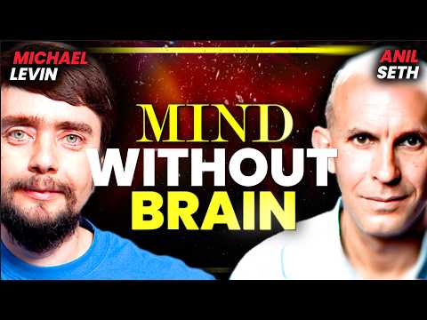 Thumbnail for Why Algorithms Can't Capture Life: The Limits of the Computer Metaphor