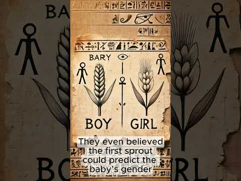 Before you continue to YouTube